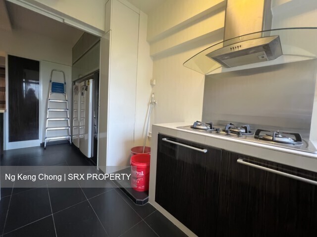 Blk 290C Spring View (Bukit Batok), HDB Executive #557199741